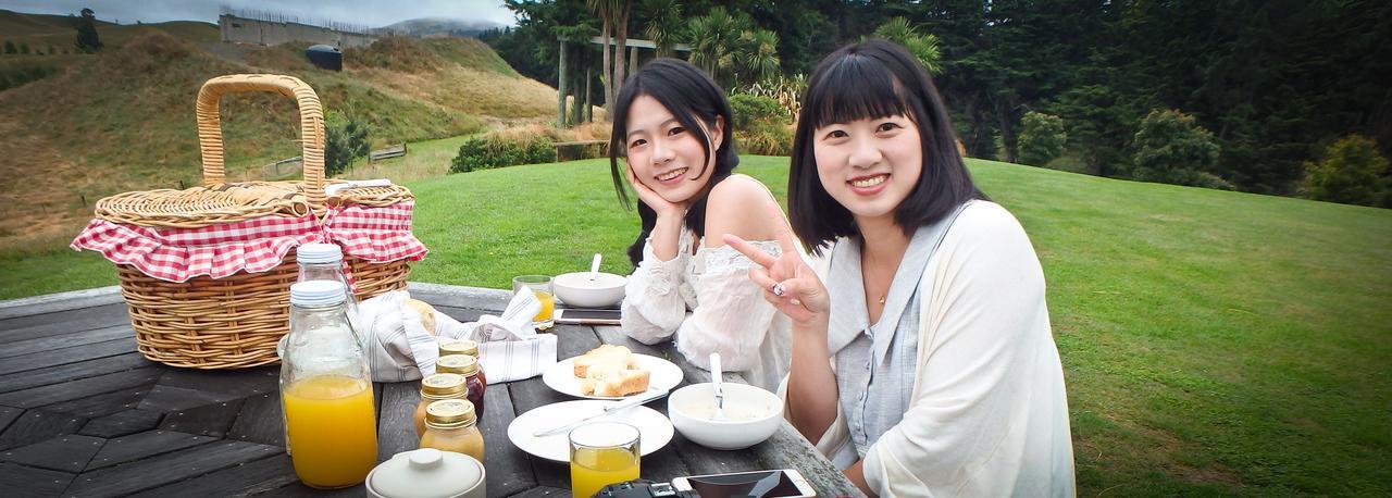 Tree House Lodge Bed & Breakfast Cheviot Luaran gambar