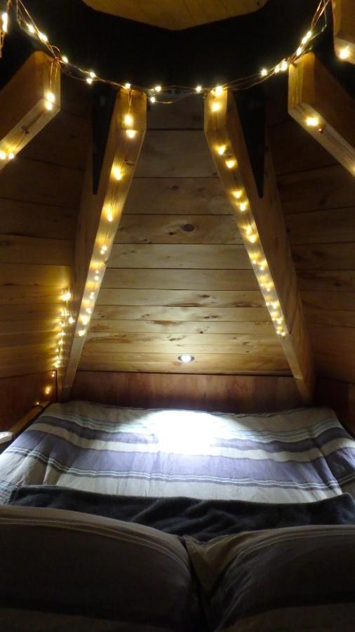 Tree House Lodge Bed & Breakfast Cheviot Luaran gambar